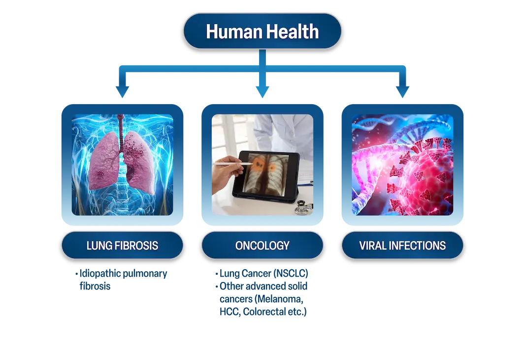 What We Do Human Health